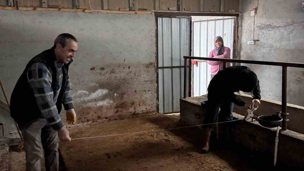 Bilecik'te Büyükbaş Hayvancılık İşletmelerinde Kapasite Kontrolleri