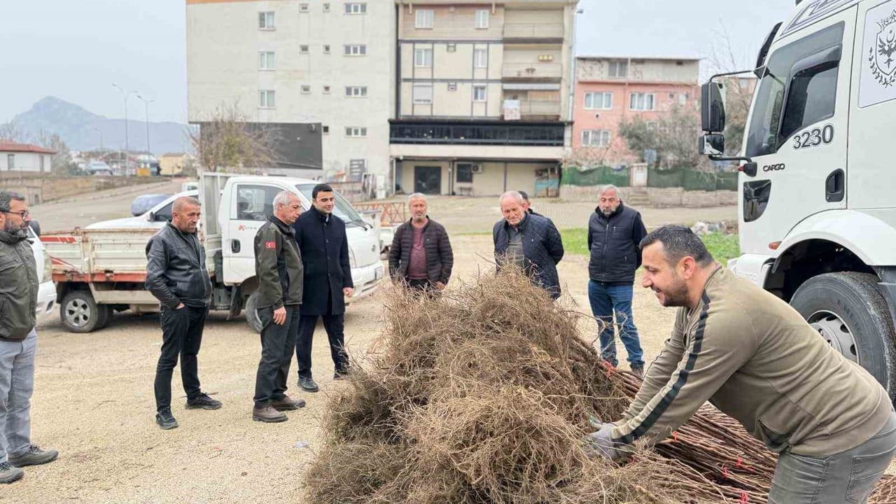 Bilecik'te Çiftçilere Meyve Fidanı Desteği