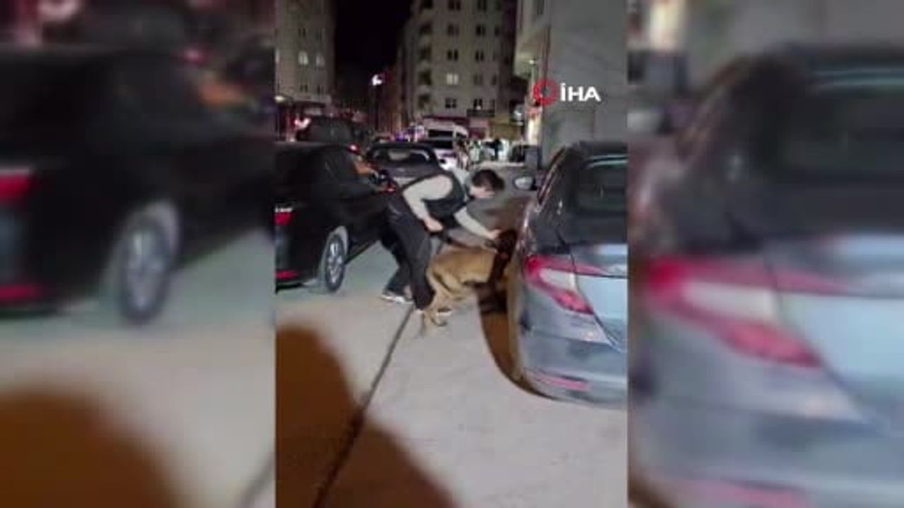 Bilecik'te Uyuşturucu Operasyonu: 220 Gram Ele Geçirildi