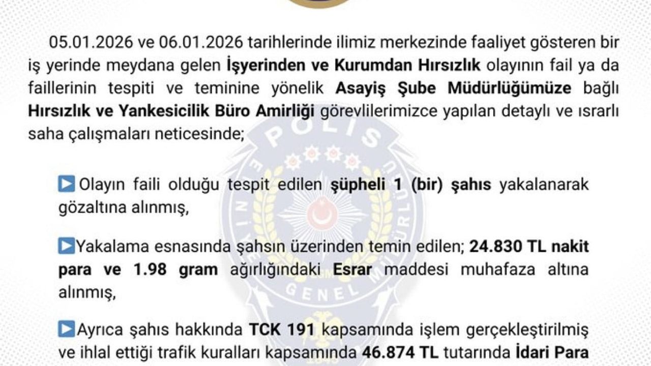 Bingöl'de Hırsızlık Şüphelisi Tutuklandı