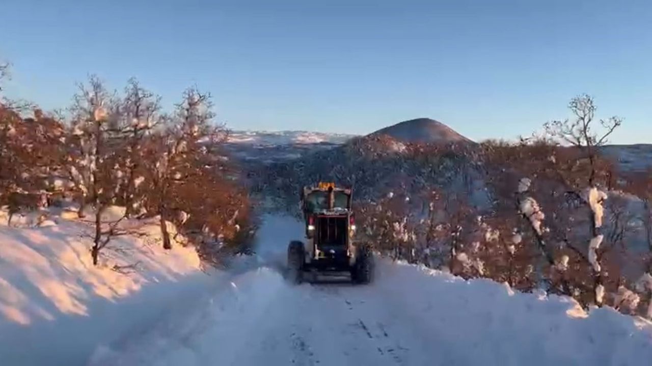 Bingöl'de Karla Mücadele Çalışmaları Devam Ediyor