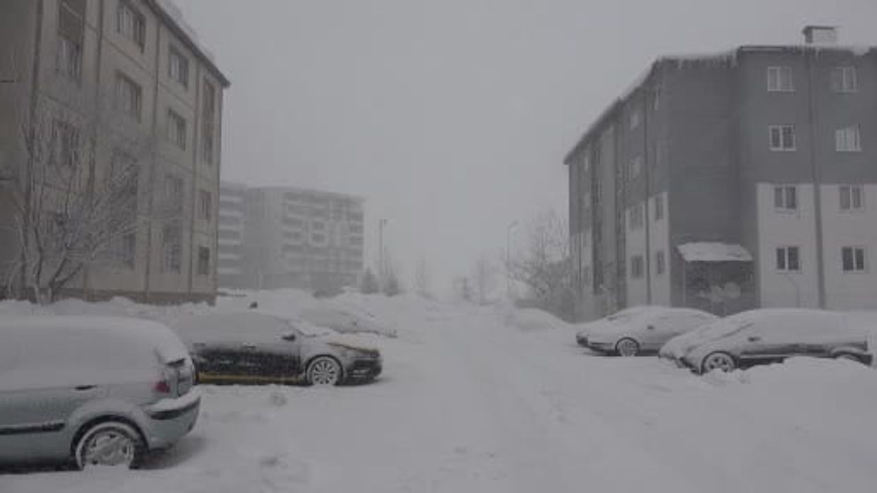 Bitlis’te Kar Yağışı 51 Köy Yolunu Kapattı