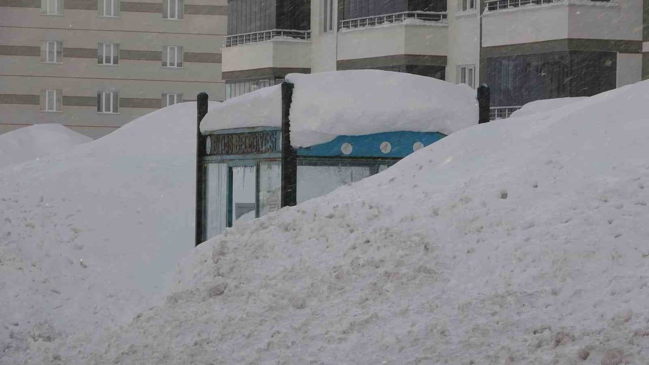 Bitlis'te Kar Yağışı Hayatı Olumsuz Etkiliyor