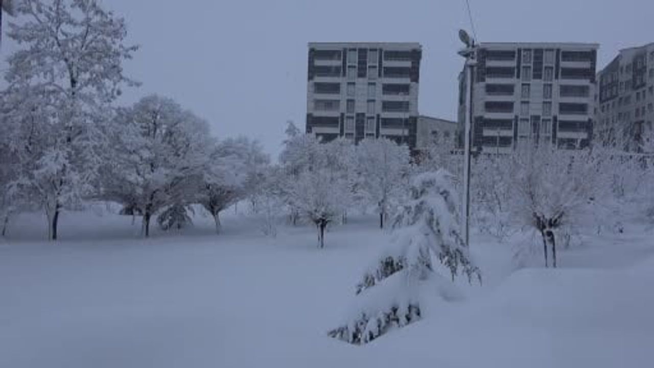 Bitlis'te Kar Yağışı Hayatı Olumsuz Etkiliyor