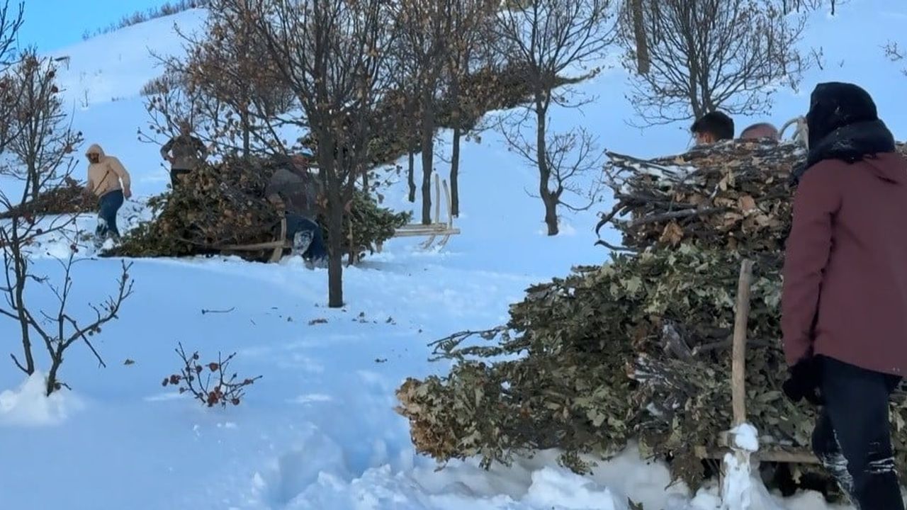 Bitlis'te Kışın Kızaklarla Hayvan Yemi Taşınıyor