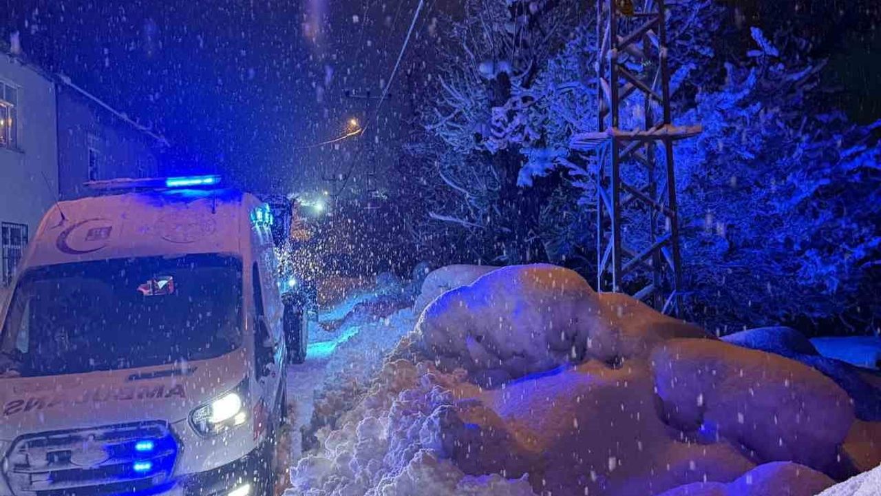 Bitlis'te Zorlu Hava Şartlarında Hastaya Ulaşım