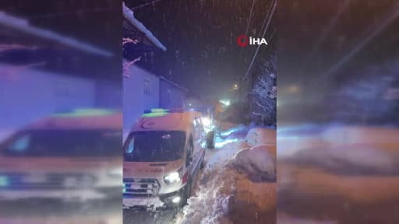 Bitlis'te Zorlu Koşullarda Başarılı Kurtarma Operasyonu