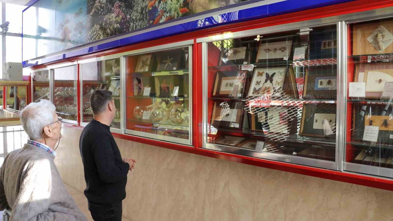 Biyoloji Merakı Müzeye Dönüştü