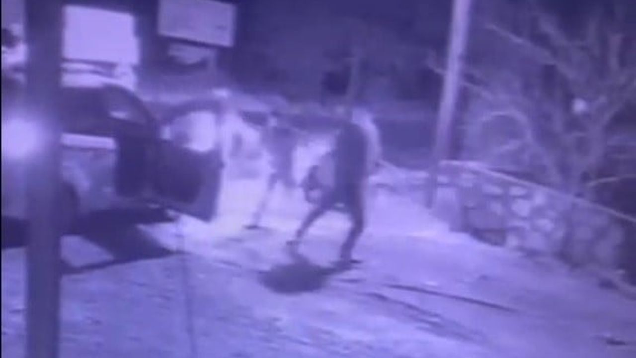 Bodrum'da Akraba Kavgası: 1 Tutuklama, 1 Yaralı