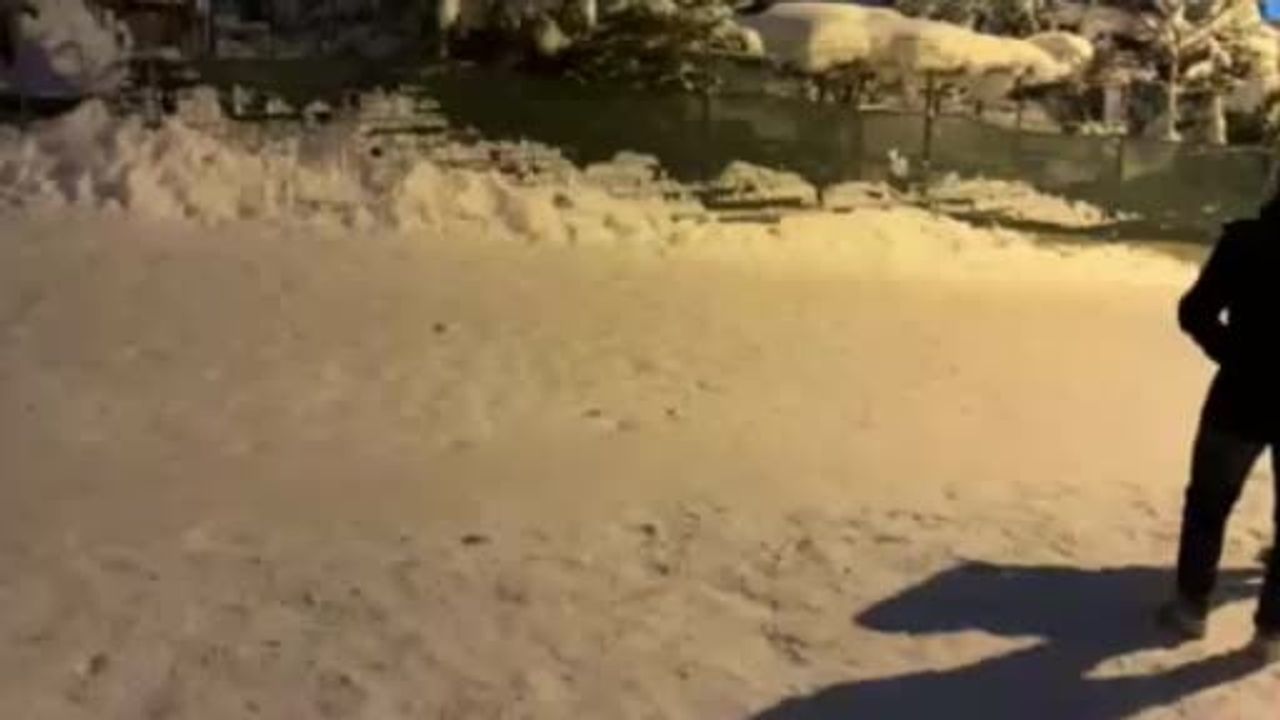 Bolu'da Çocuklar Kar Eğlencesine Doyamadı