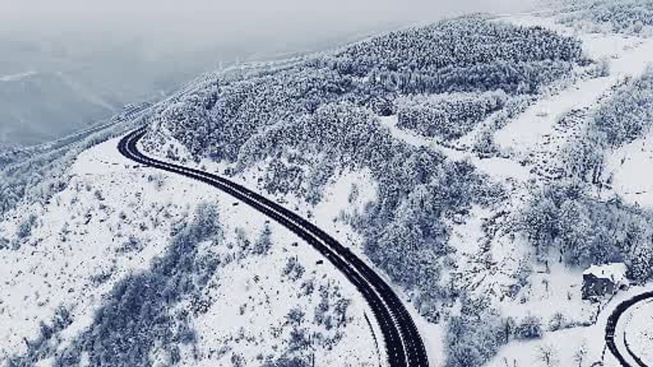 Bolu Dağı'nda Kardelen Manzaraları