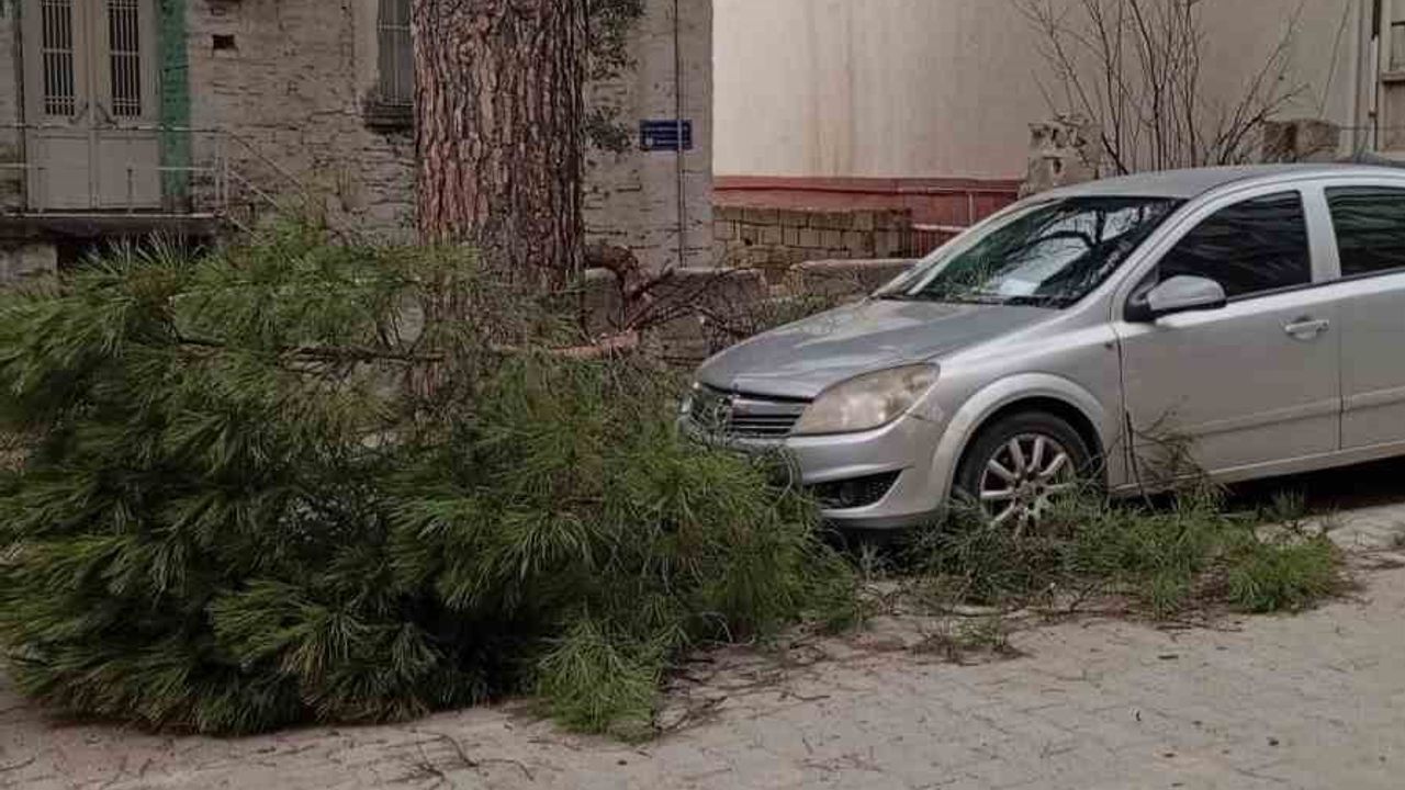 Buldan'da Fırtına nedeniyle Ağaçlar Devrildi ve Bacalar Uçtu