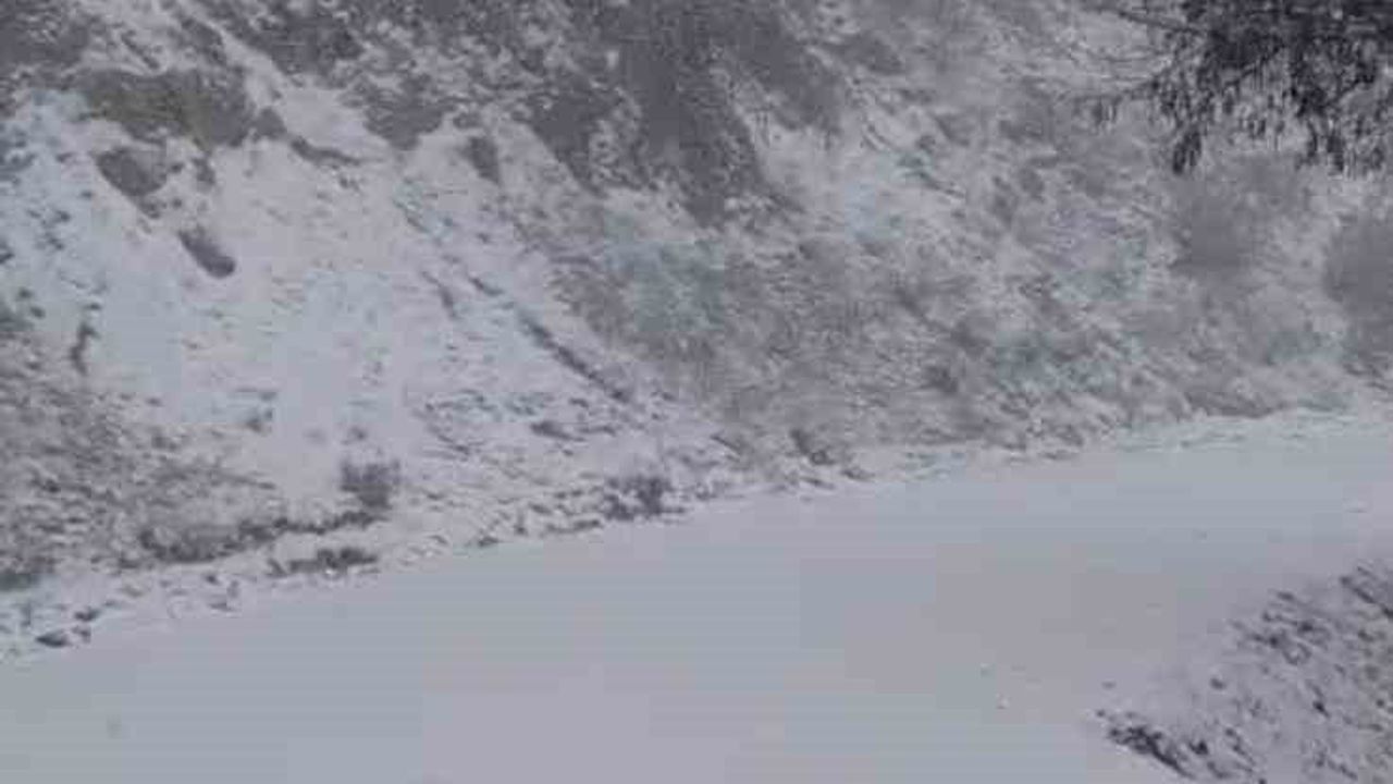 Buldan Ormanlarının Kış Kıyafeti: Beyaz Büyü