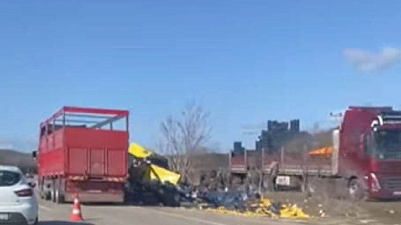 Burdur'da Limon Yüklü Tır Şarampole Devrildi