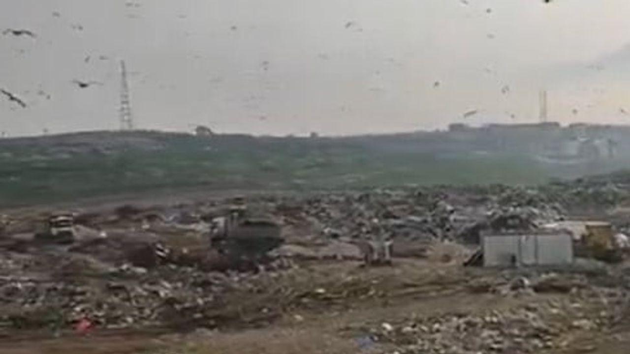 Bursa Büyükşehir Belediyesi'ne Vahşi Depolama Ceza