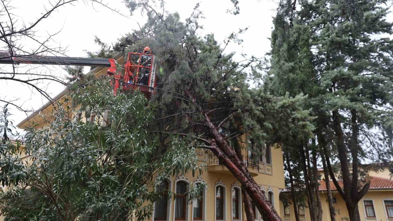 Bursa Büyükşehir Belediyesi, Şiddetli Rüzgara Karşı Hızla Müdahale Etti