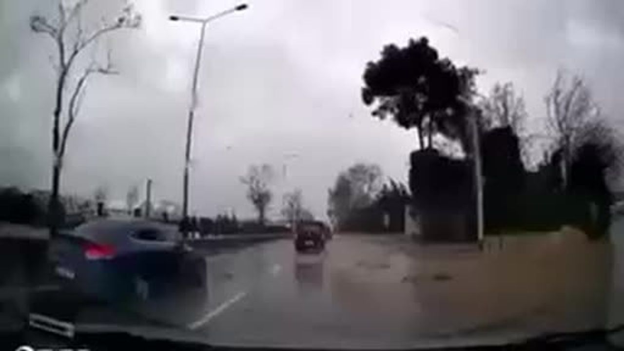 Bursa'da Fırtına Ağaçları Devrildi: O Anlar Kamerada