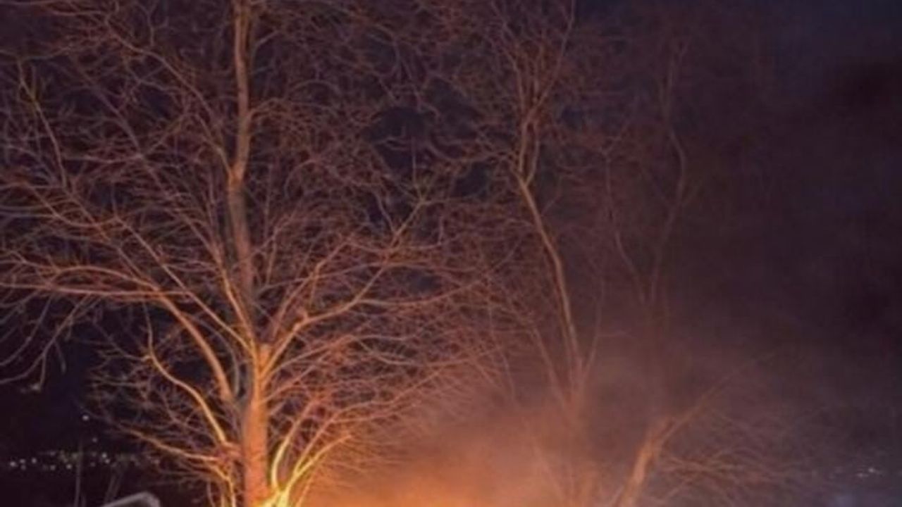 Bursa'da Otomobil Ağaçla Çarpıp Yangın Çıkardı