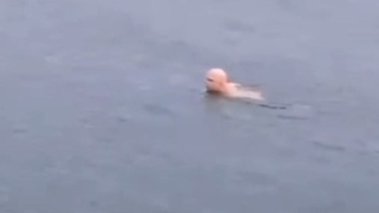 Bursa’da Soğuk Havada Denize Giren Vatandaş Şaşırttı