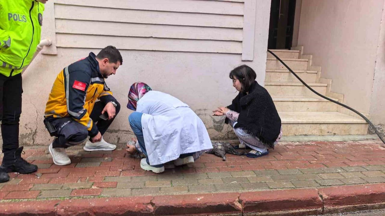 Bursa İnegöl'de Yangın Felaketi: Çocuklar ve Kediler Kurtarıldı