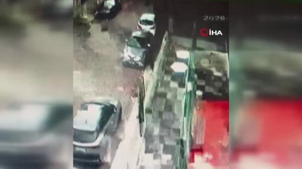 Büyükçekmece'de Fırtına Sonrası Ağaç Devrildi