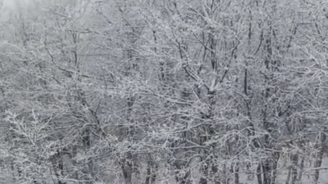 Çanakkale'de Kar Manzaraları