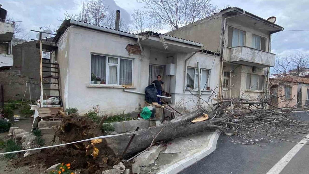 Çanakkale'de Lodos Fırtınası Ağaç Devrildi