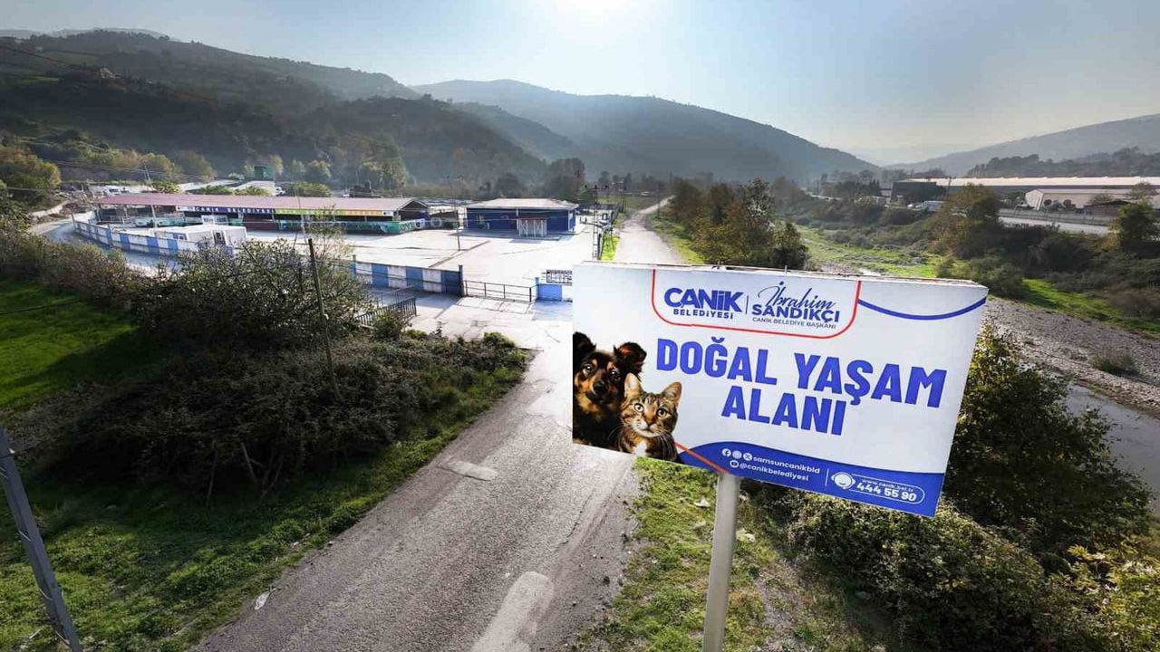 Canik Belediyesi'nden Sokak Hayvanlarına Destek Projeleri