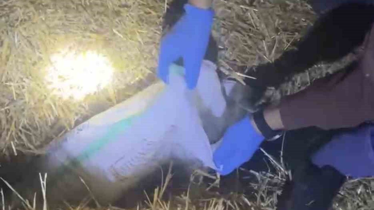 Çarşamba'da Uyuşturucu Operasyonu: 6 Kilo Esrar Ele Geçirildi