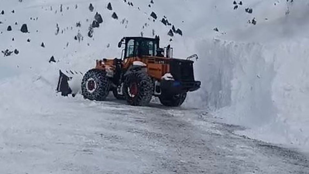 Çatak’ta Kar Yağışı Sonrası 6 Çığ Olayı