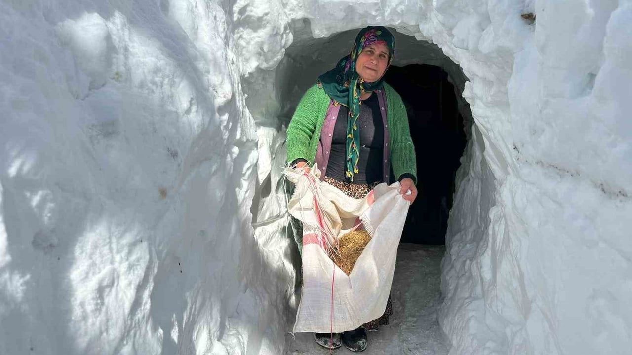 Çatak'ta Kardan Tünellerle Hayat Mücadelesi