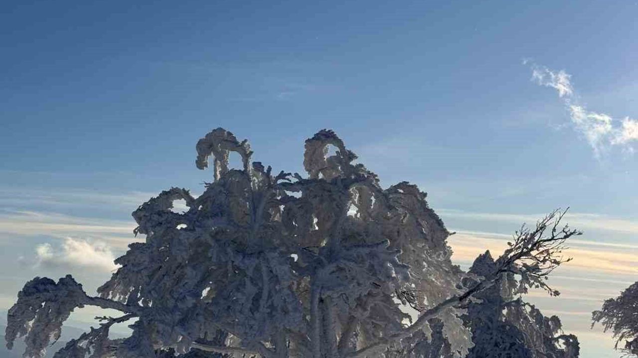 Çataldağ: Sibirya’yı Aratmayan Bir Doğa Harikası