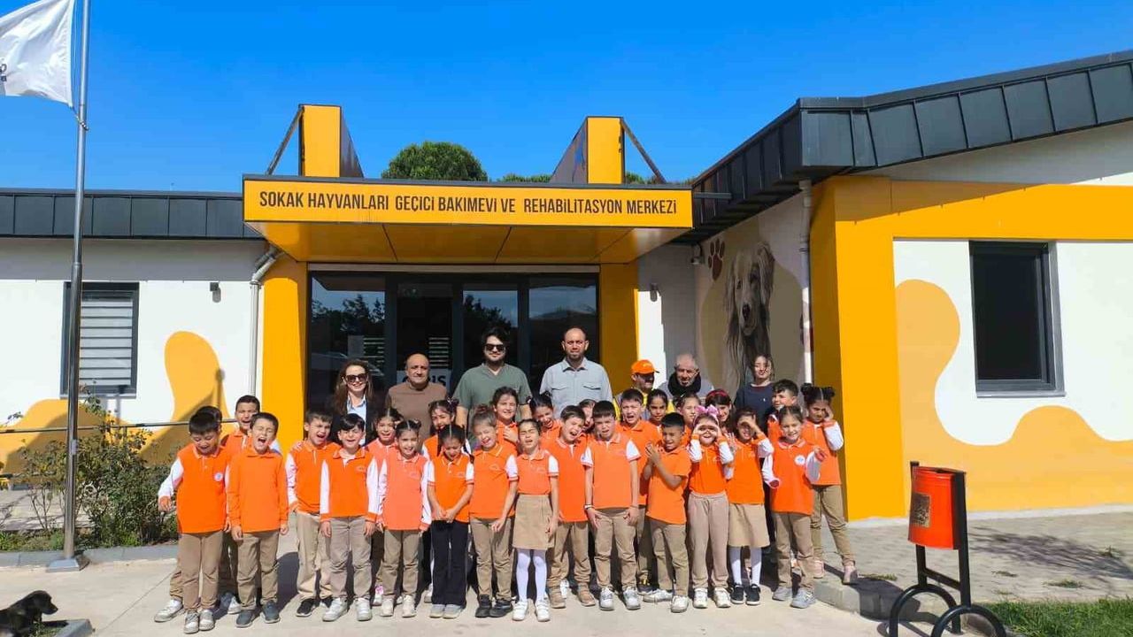 Çayırova'da 2025'te Geri Dönüşüm ve Sokak Hayvanlarına Destek