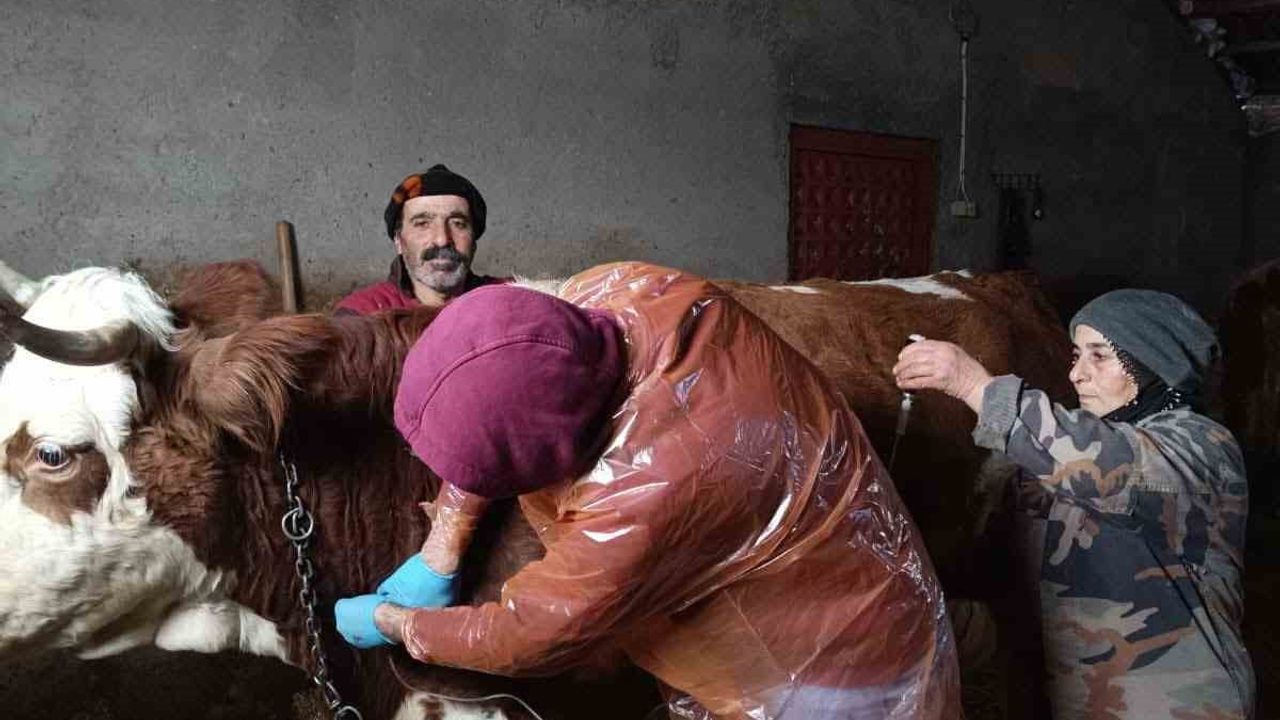 Çemişgezek’te Karla Kaplı Yol Yeniden Açıldı