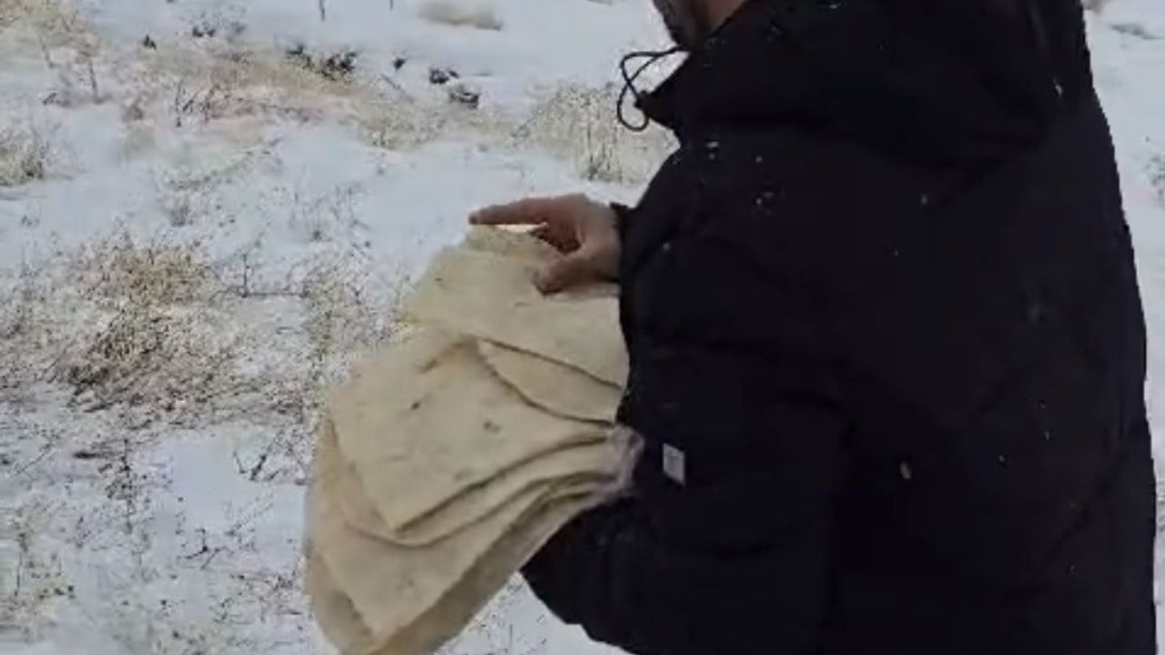 Çermik'te Yaban Hayvanları İçin Yem Bırakıldı