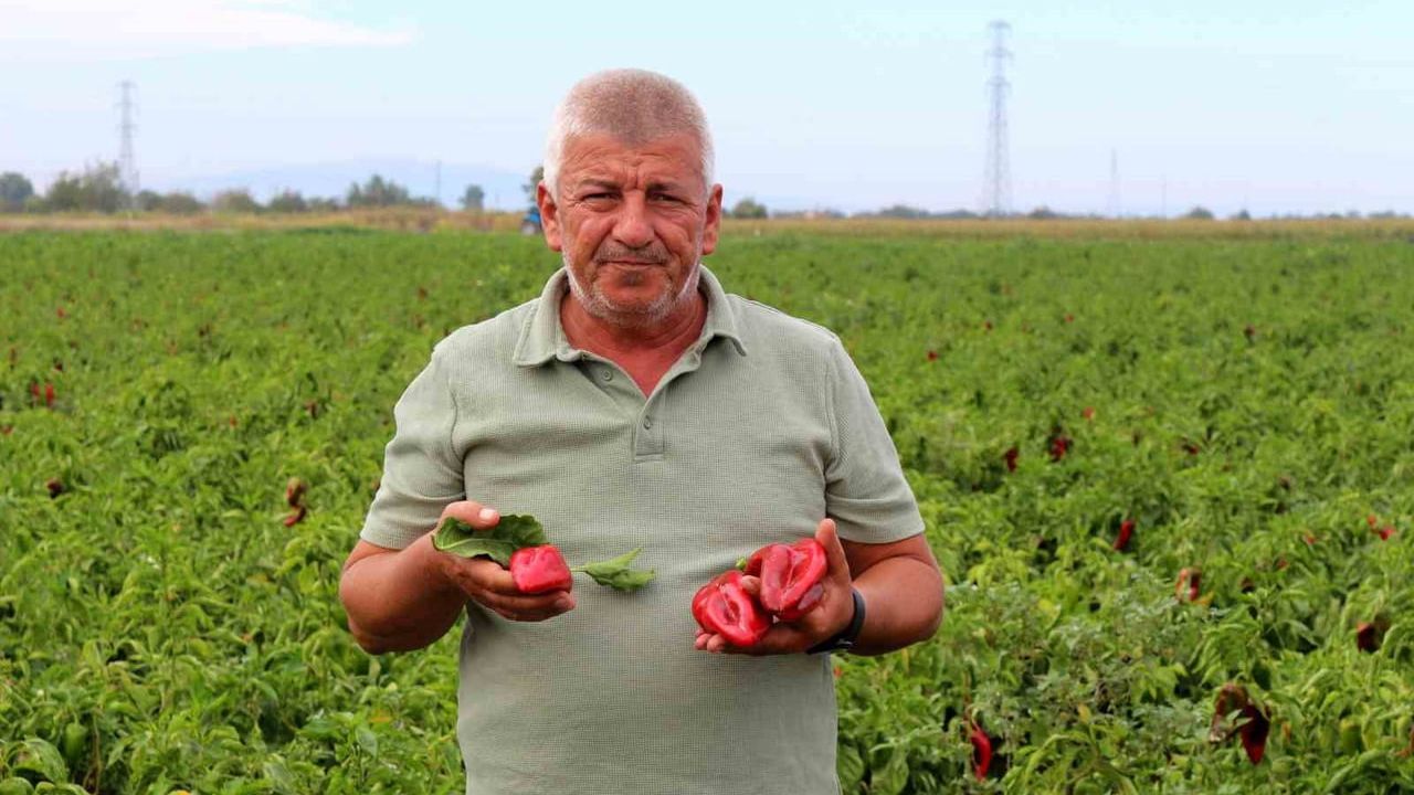 Çiftçiler Maliyet Krizine Dikkat Çekiyor
