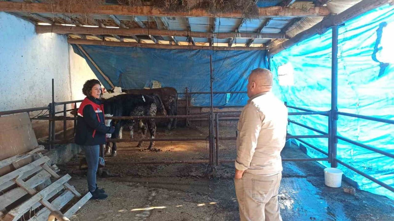 Çiftlik Muhasebe Veri Ağı (ÇMVA) Çalışmaları Devam Ediyor