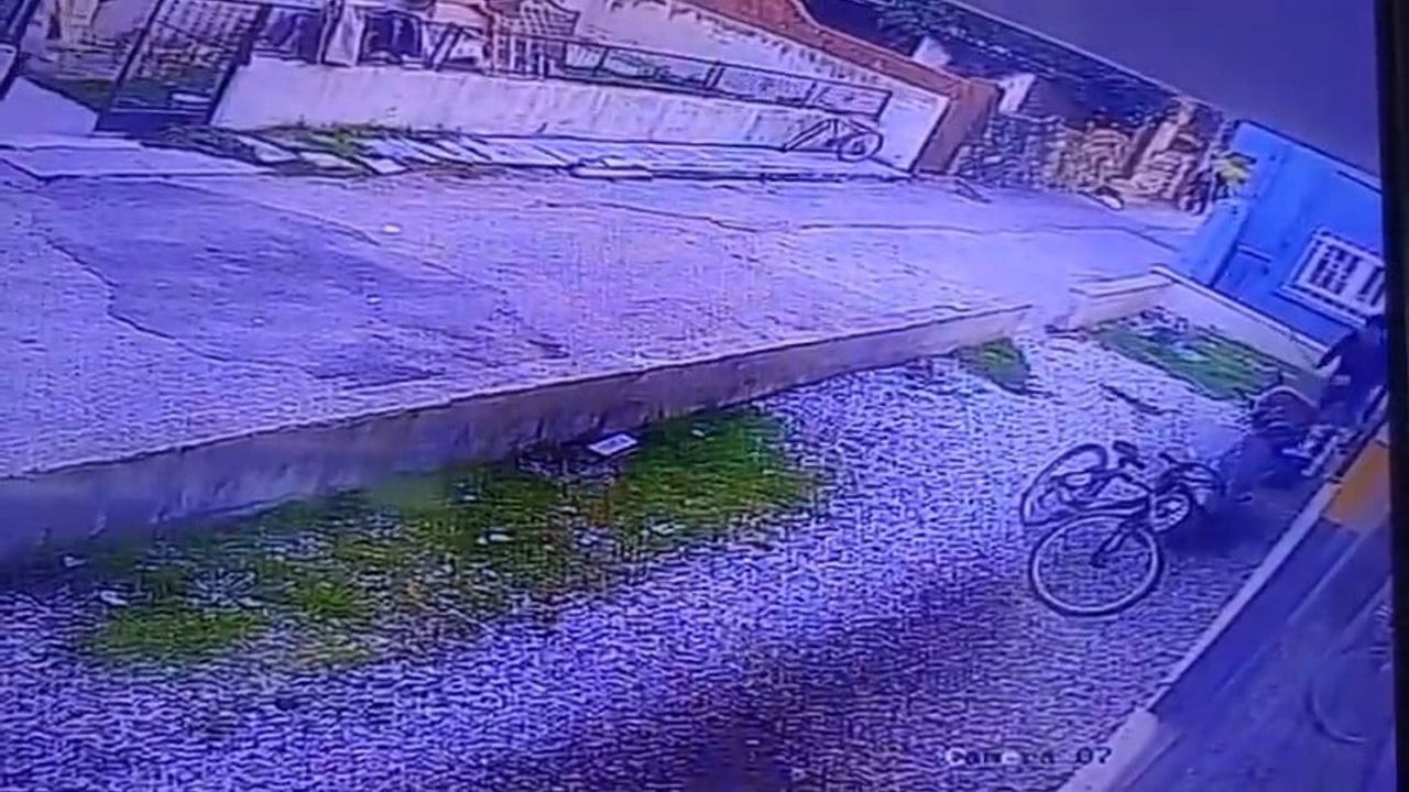 Çocukların Önünde Köpeğe Yapılan Şiddet Olayı