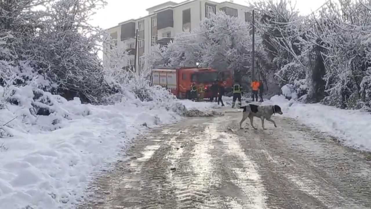 Çöp Kamyonu Kazası: Bartın'da Bir İşçi Yaralandı