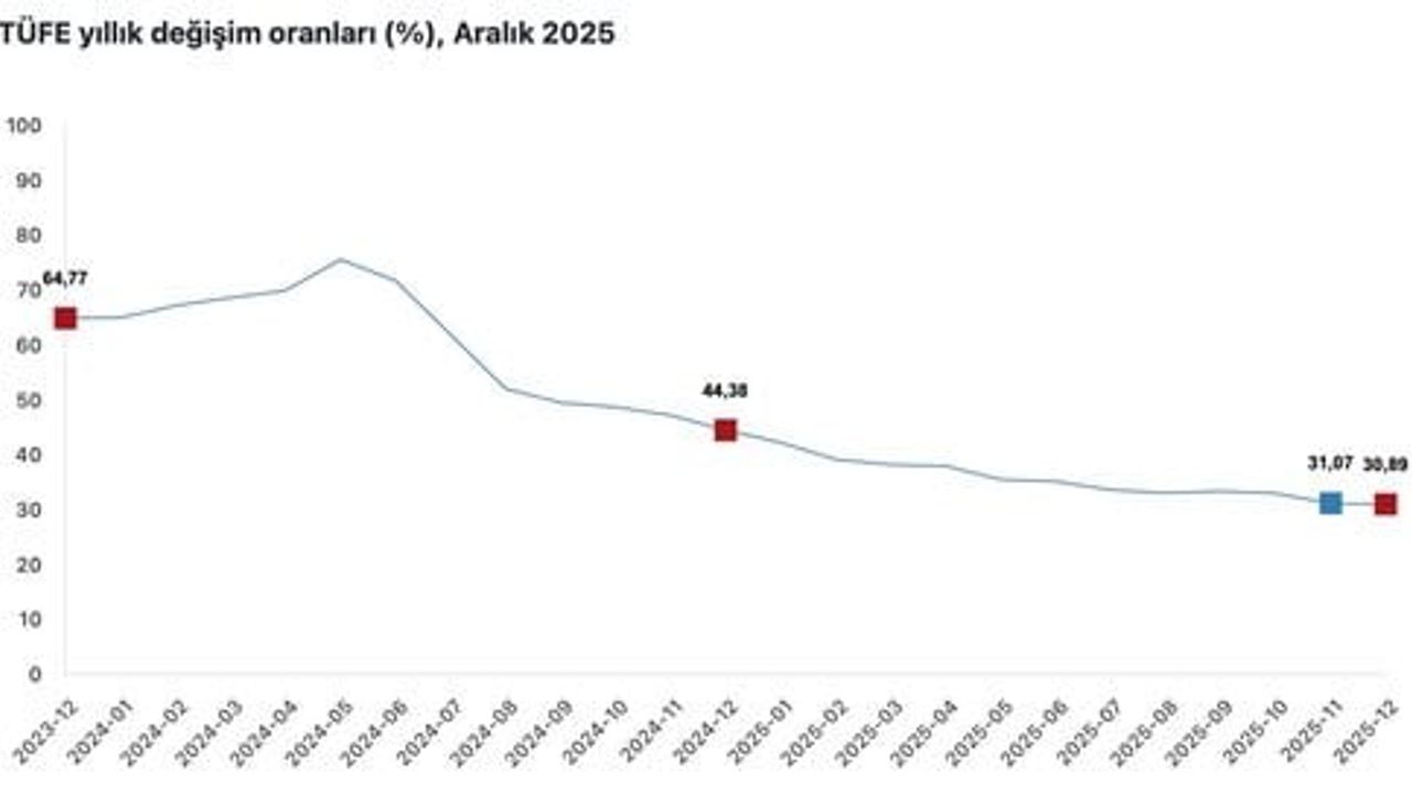 Cumhurbaşkanı Yardımcısı Yılmaz'dan Dezenflasyon Açıklamaları