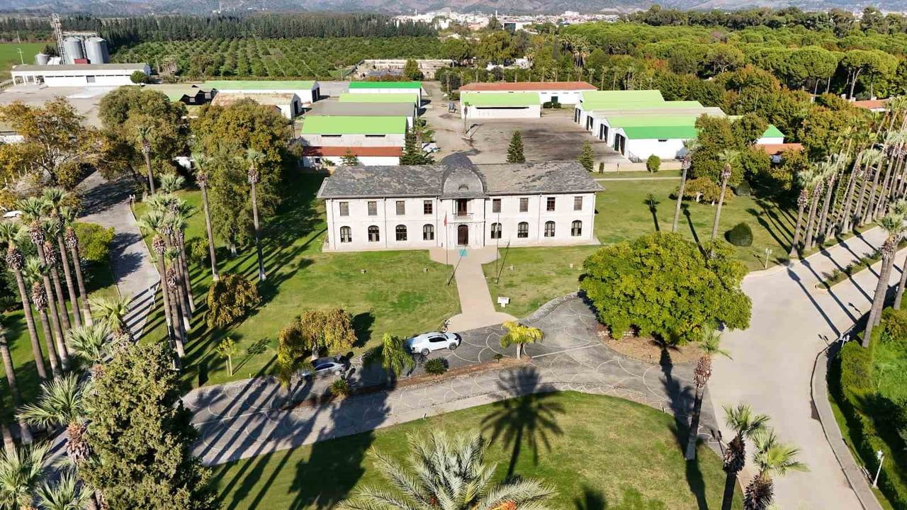 Dalaman'daki 'Tren Garı'nın Gerçek Hikayesi: Av Köşkü Çıktı