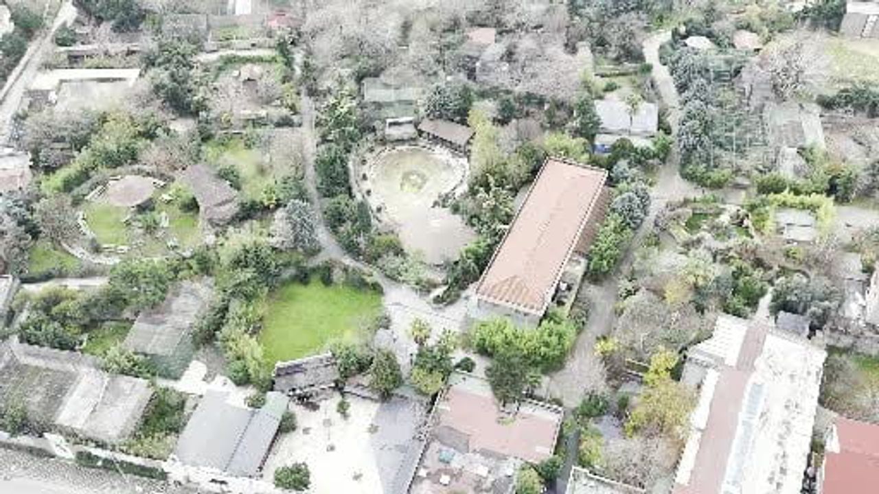 Darıca Hayvanat Bahçesi Kapatıldı