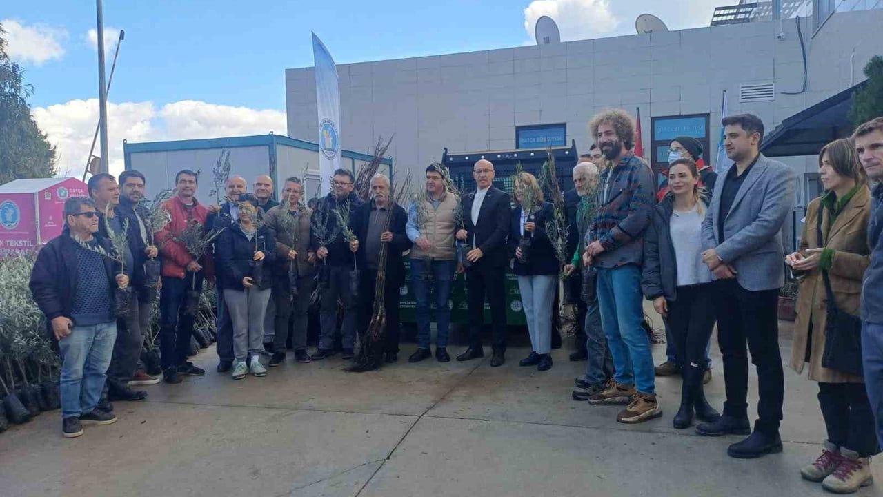 Datça'da Fidan Dağıtımı ile Tarımsal Desteklere Devam Ediliyor