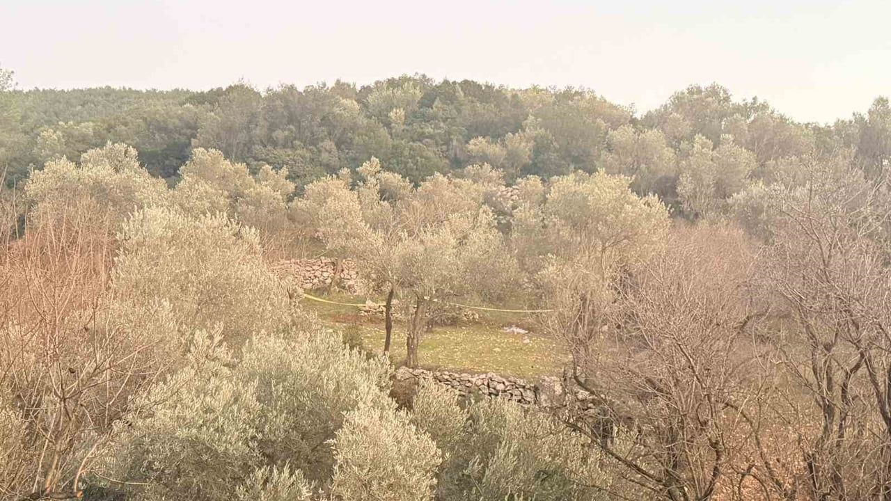 Datça'da Tarlada Fenalaşan Yaşlı Adam Hayatını Kaybetti