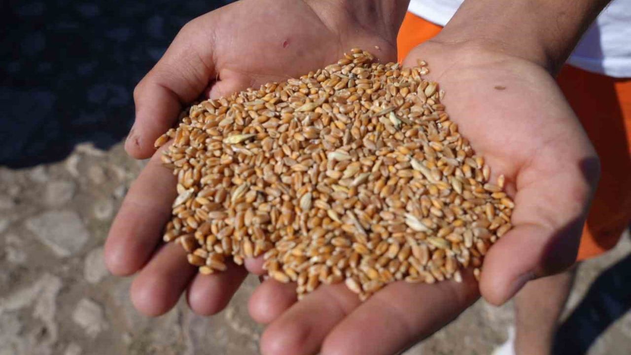 Demirözü'nde Çiftçilere Yüzde 100 Hibeli Destek