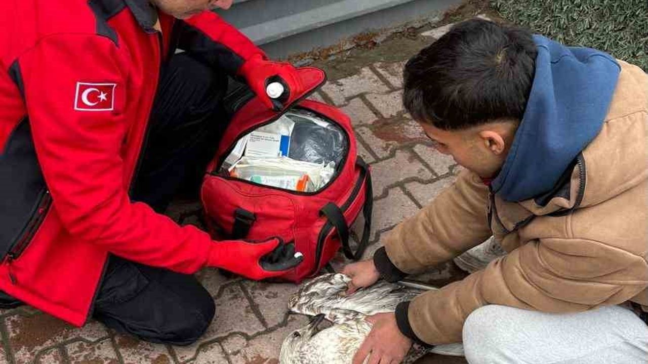 Denizde Yaşanan Can Kurtarma Olayı