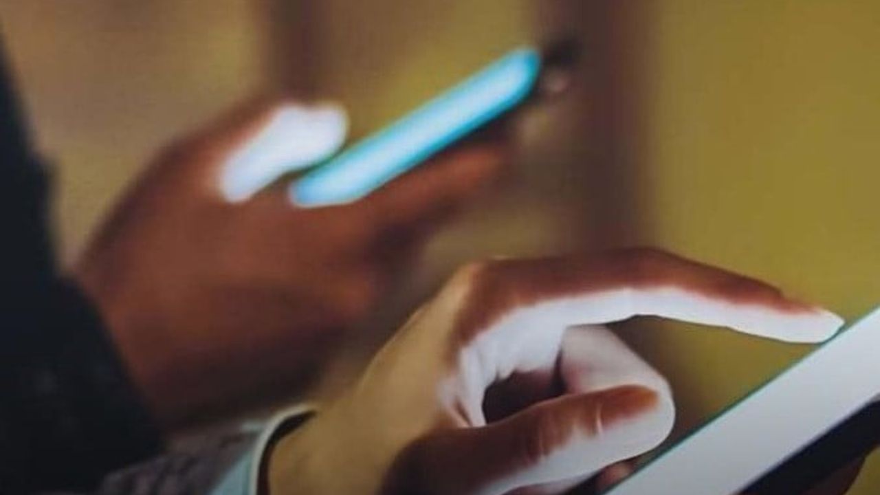 Denizli'de Sosyal Medya Üzerinden Köpeğe Şiddet Videolarına Soruşturma