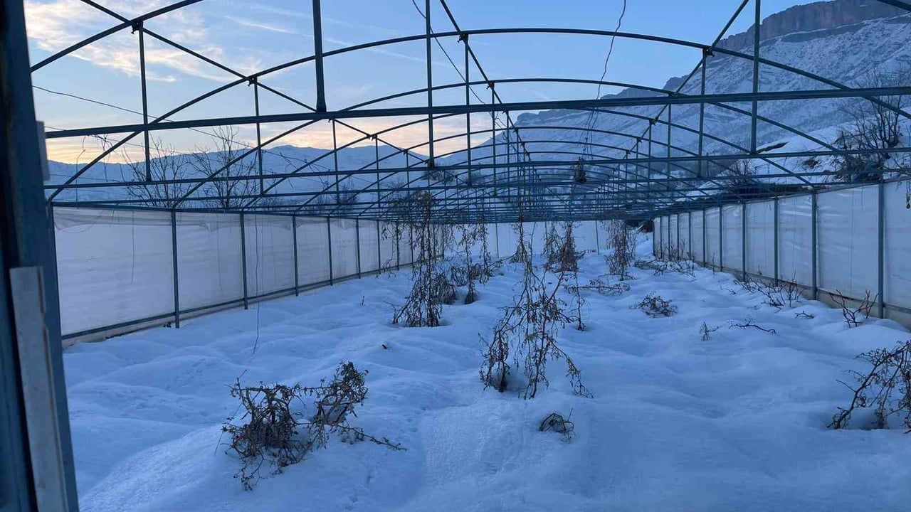 Derecik'te Yoğun Kar Yağışı 38 Serayı Mahvettİ