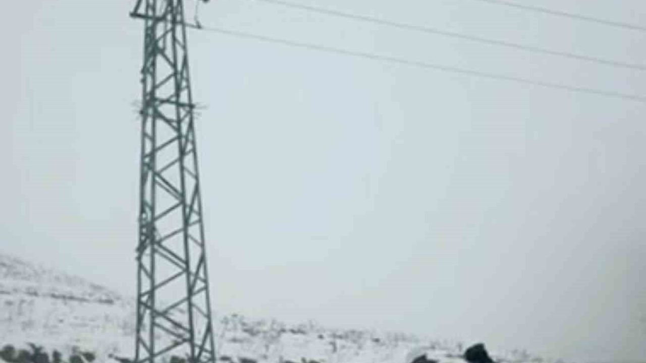 Dicle Elektrik, Şanlıurfa'da Zorlu Kış Koşullarında Enerji Dağıtımını Sürdürüyor