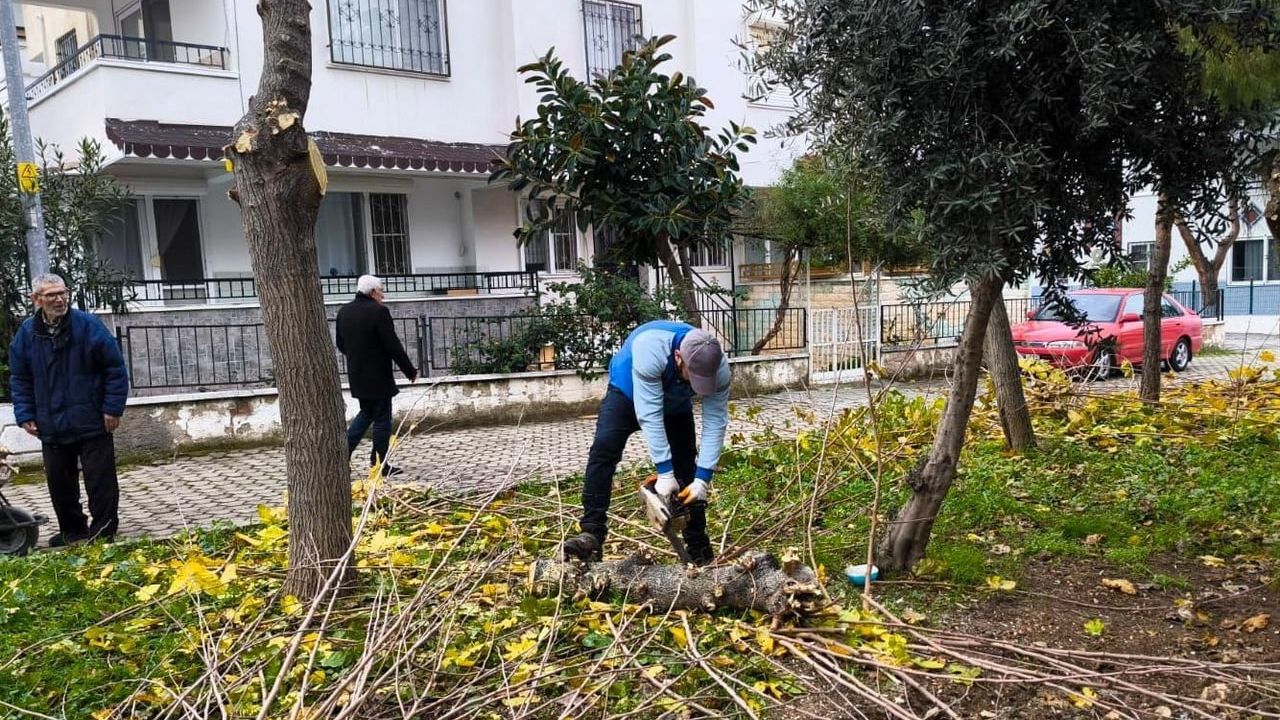 Didim Belediyesi Park ve Yeşil Alan Çalışmalarına Devam Ediyor